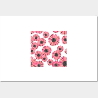 Watercolor Sunflowers Pattern - Pink Posters and Art